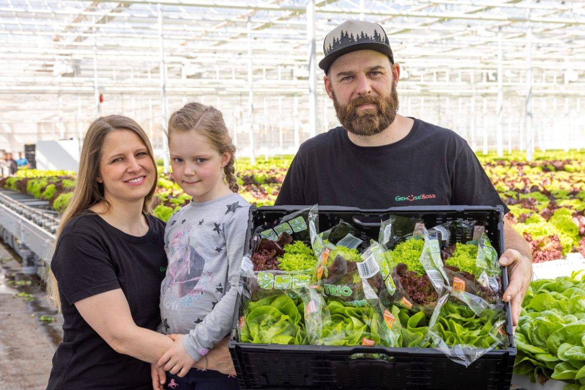 Sabine, Maja und Georg im Gewächshaus der Gemüse Boss KG, vor sich eine Kiste frisch verpackten Salat