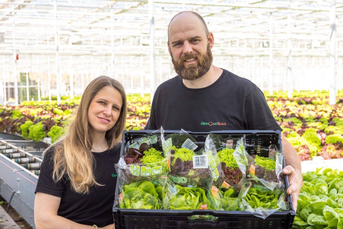 Das Betreiber-Paar der Gemüse Boss KG im Gewächshaus, in den Händen eine Kiste mit verpacktem Salat-Trio